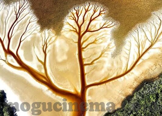 91麻豆视频免费下载-精妙影音资源探索，揭秘91麻豆视频多样化下载秘籍