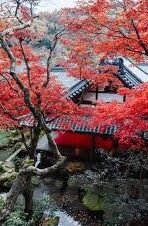 麻豆文化传媒有限公司网站-麻豆文化传媒有限公司网站——探寻娱乐创新与文化交融的桥梁